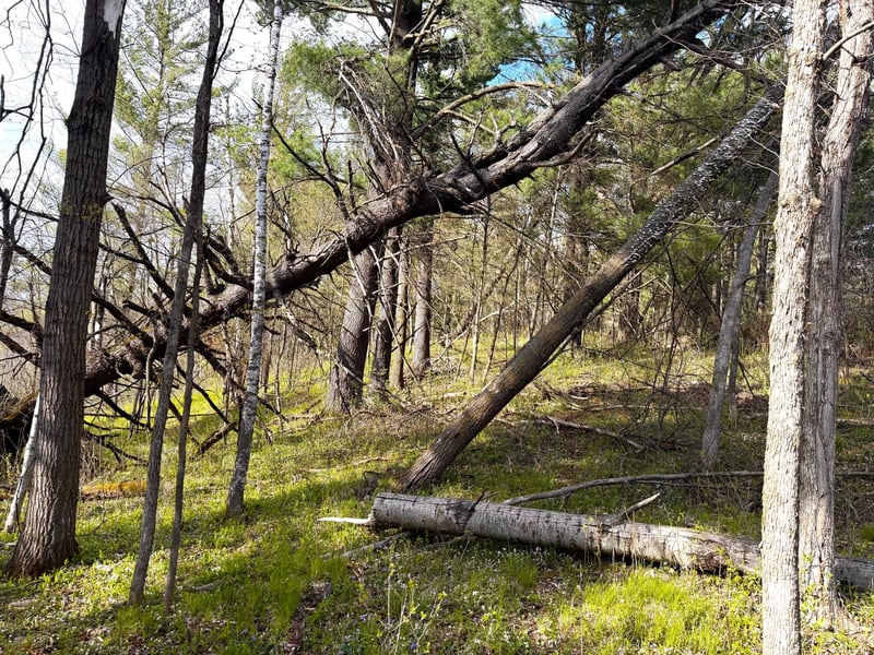 TBD County Line Ave, Clear Lake, WI 54005