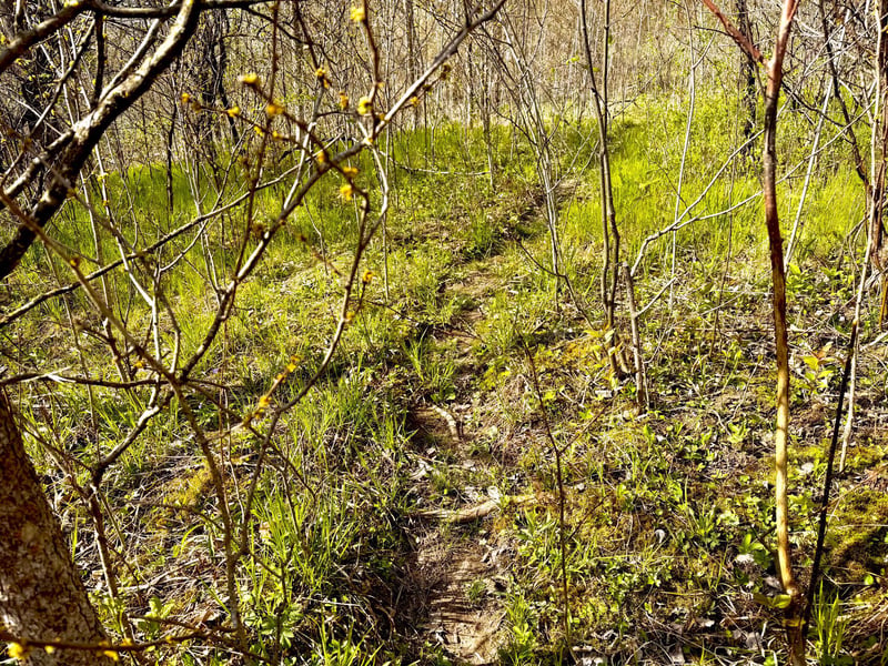 TBD County Line Ave, Clear Lake, WI 54005