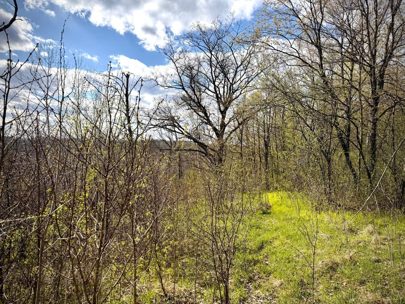 TBD County Line Ave, Clear Lake, WI 54005