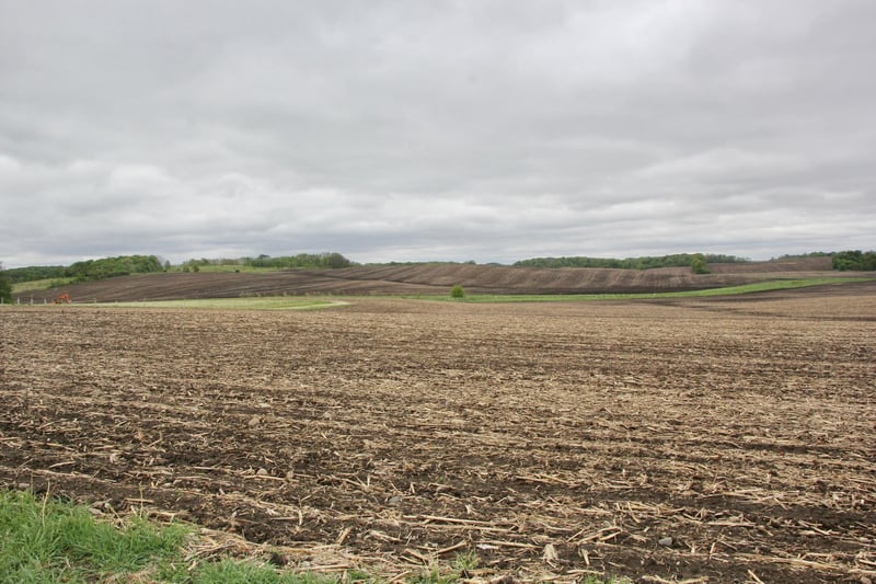 TBD 115th St W, Montgomery, MN 56069