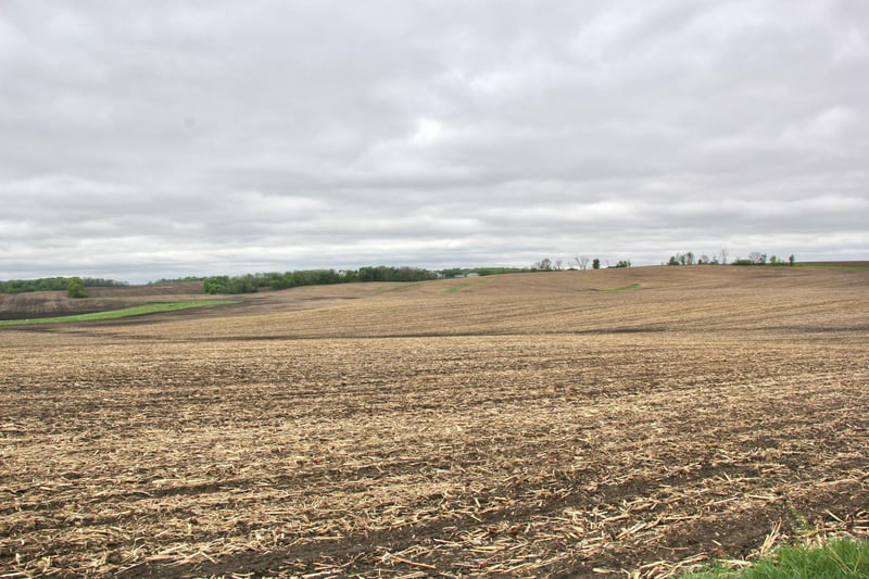 TBD 115th St W, Montgomery, MN 56069