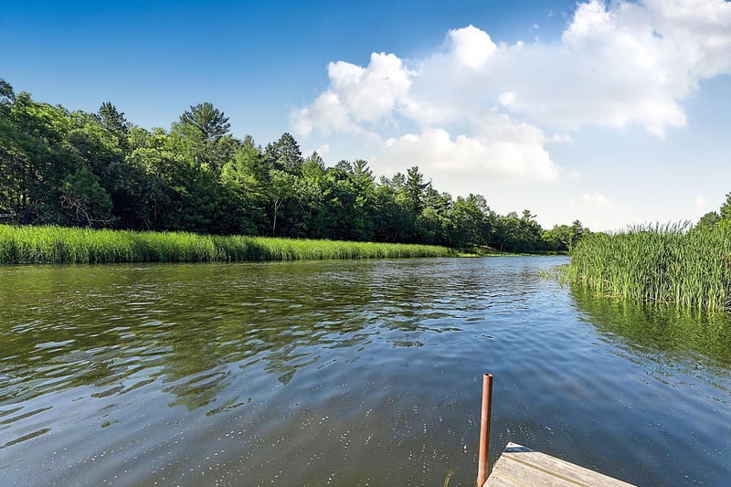 16333 River Lake Dr, Menahga, MN 56464