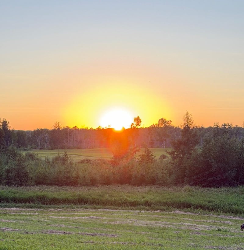 68611 Fleming Rd, Bruno, MN 55712