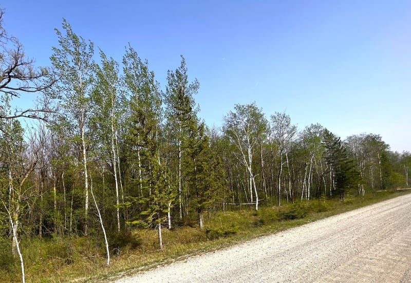 XXX 585th Ave, Warroad, MN 56763