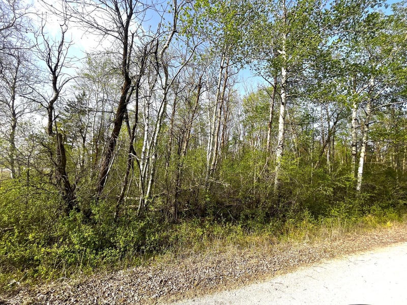 XXX 585th Ave, Warroad, MN 56763