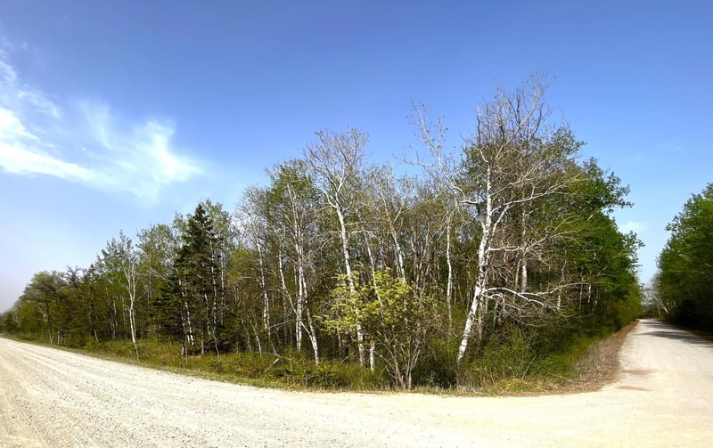 XXX 585th Ave, Warroad, MN 56763