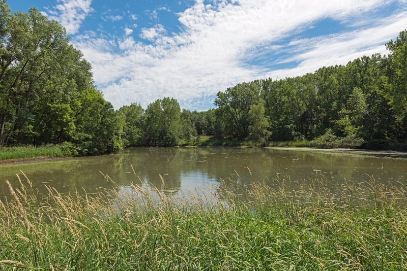 500 County Road B W #235, Roseville, MN 55113