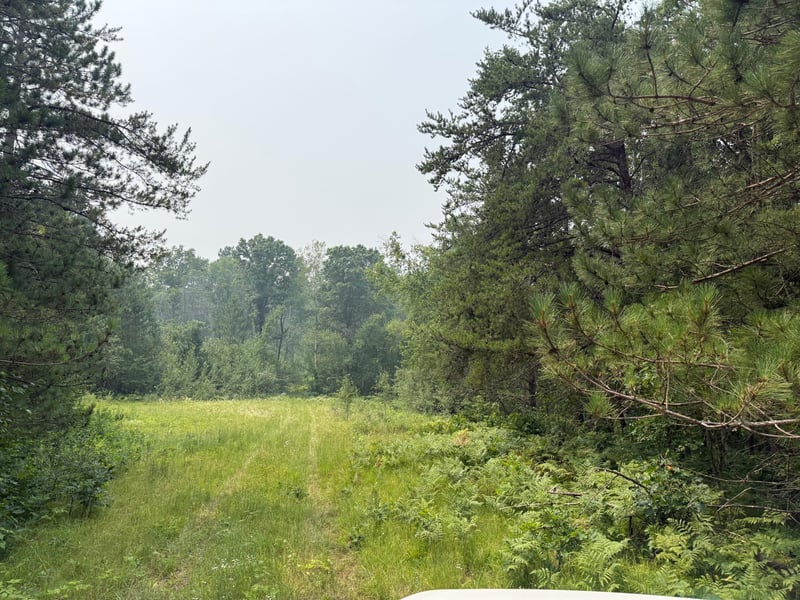 TBD BB Mann Rd, Spooner, WI 54801