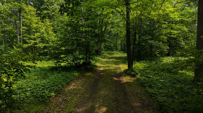 TBD BB Mann Rd, Spooner, WI 54801