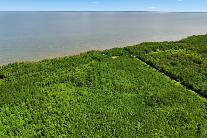 TBD Sandberg Rd NE, Kelliher, MN 56650