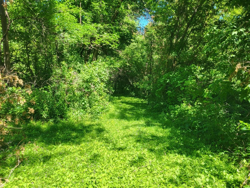 Lot 5 Big Chip Trl NW, Garfield, MN 56332