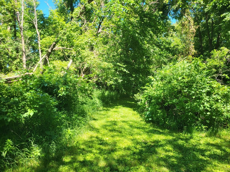 Lot 5 Big Chip Trl NW, Garfield, MN 56332