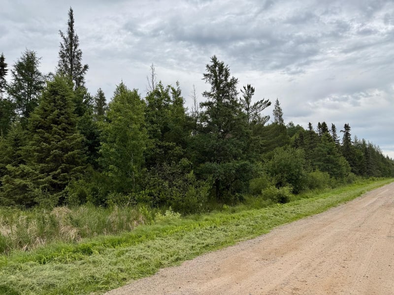 TBD Highway 65, Nashwauk, MN 55769