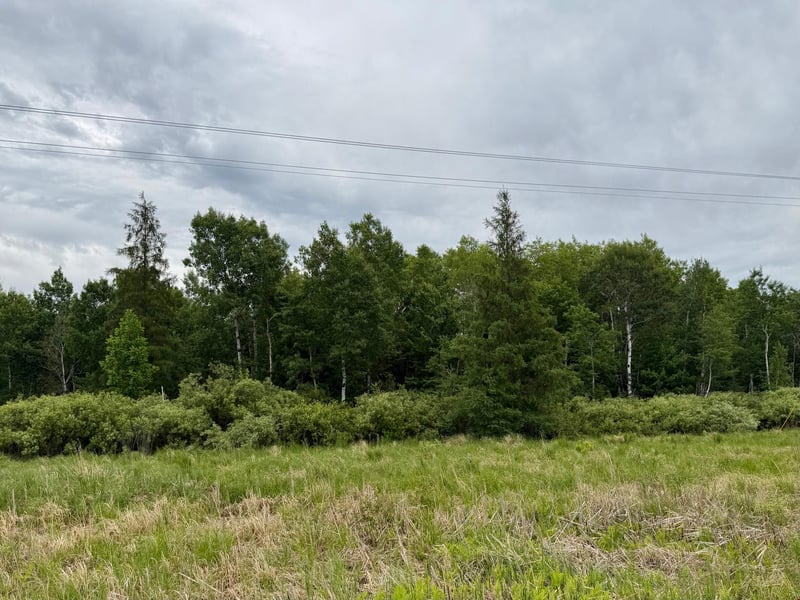 TBD Highway 65, Nashwauk, MN 55769