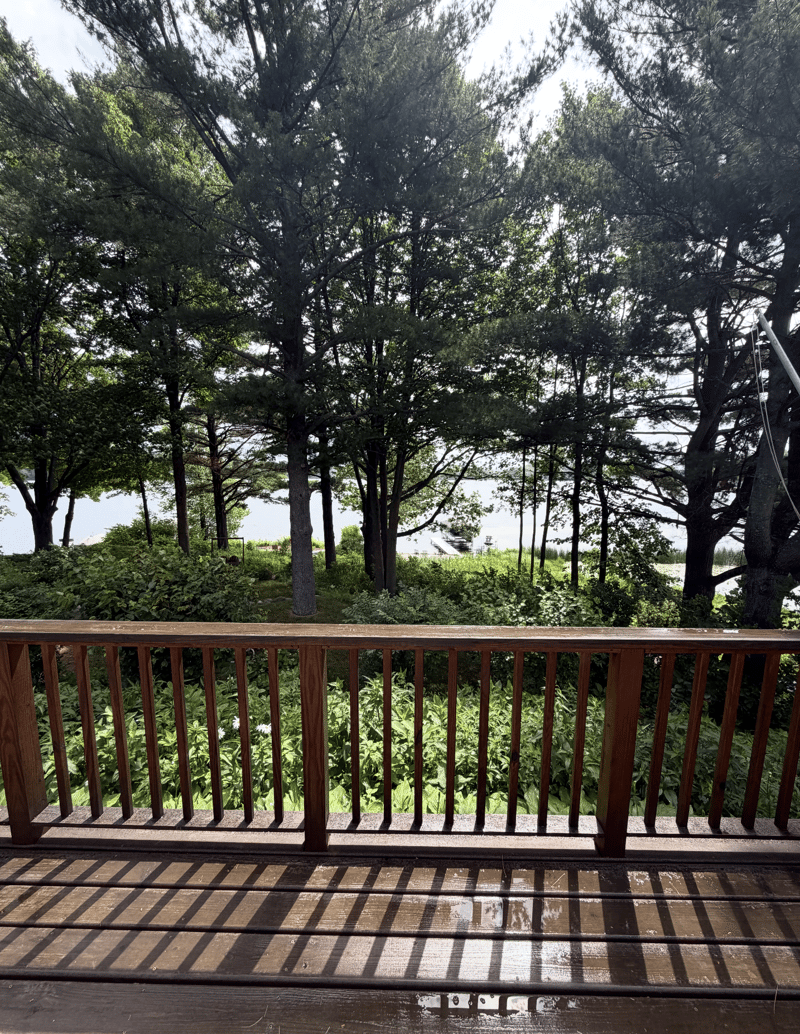 W3720 Hillcrest Ln, Sarona, WI 54870