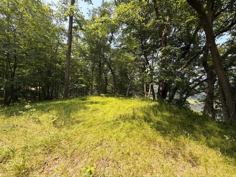 TBD Lake Douglas Way, Breezy Point, MN 56472