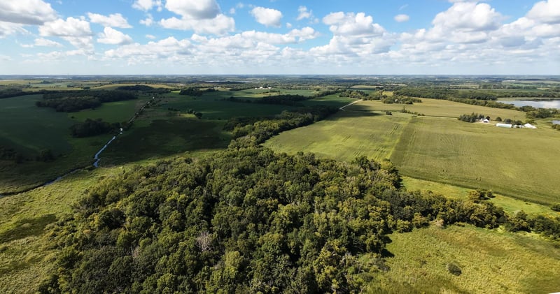 TBD 260th St W, Morristown, MN 55052