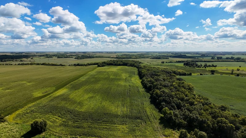 TBD 260th St W, Morristown, MN 55052