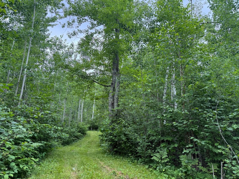 58059 Wolf Creek Rd, Sandstone, MN 55072