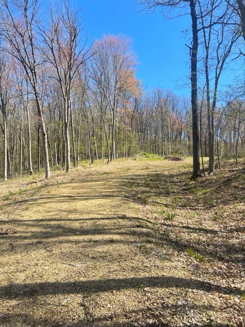 0 Anderson Hill Ln, Boyceville, WI 54725