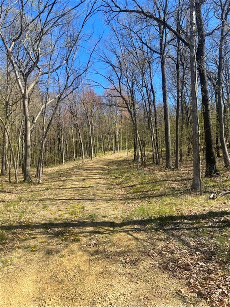 0 Anderson Hill Ln, Boyceville, WI 54725