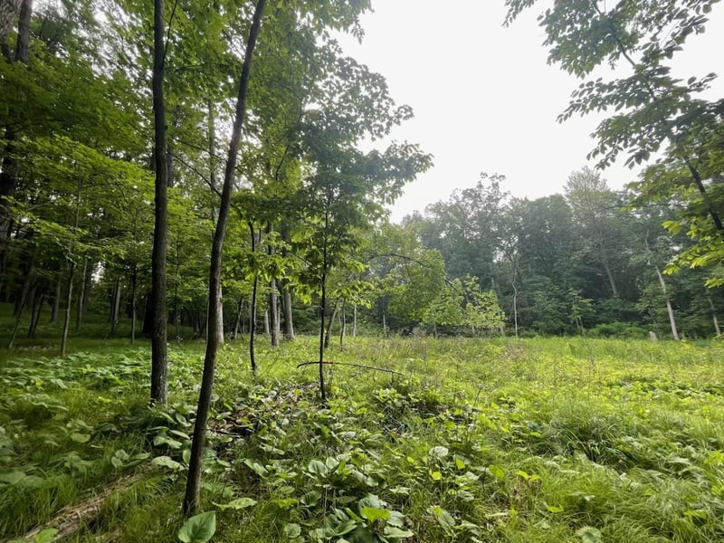 0 Anderson Hill Ln, Boyceville, WI 54725