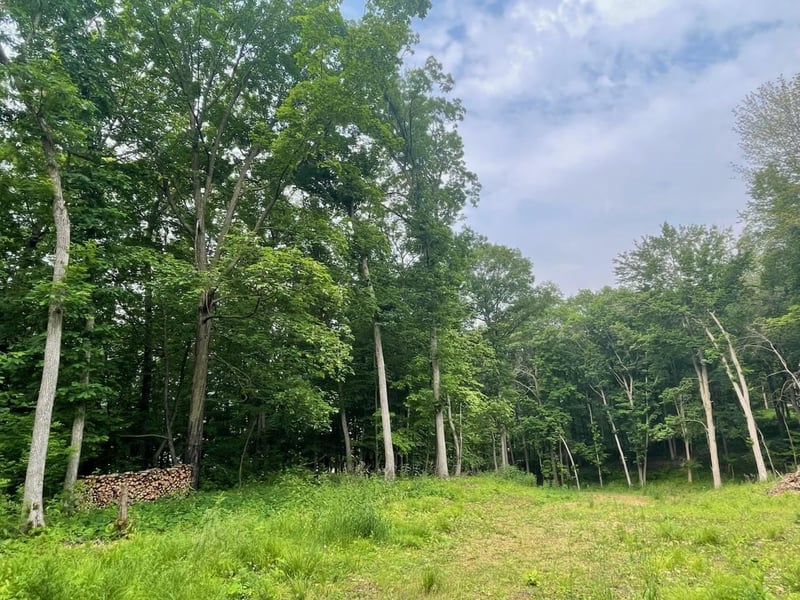 0 Anderson Hill Ln, Boyceville, WI 54725