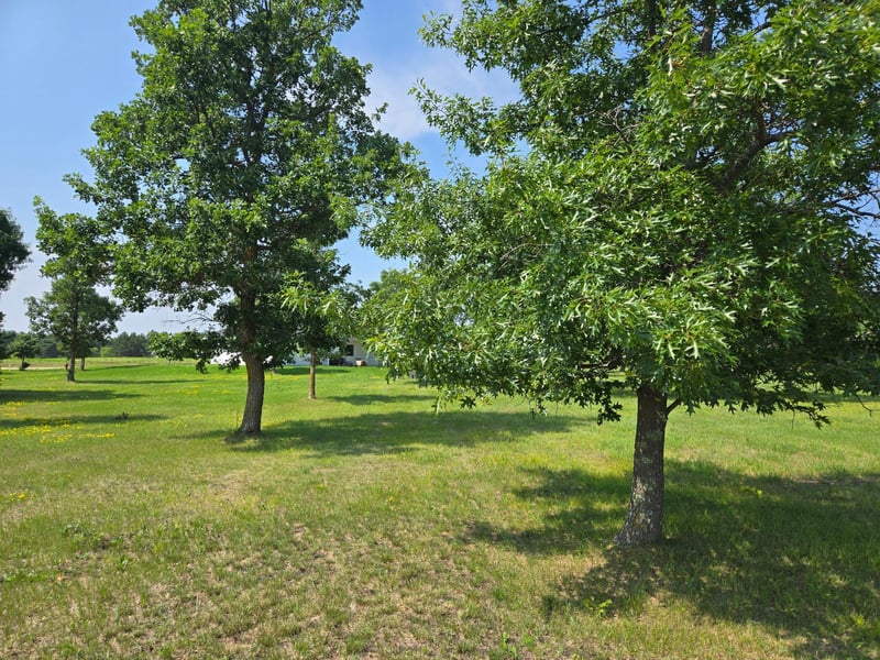 TBD Walnut Ln, Park Rapids, MN 56470