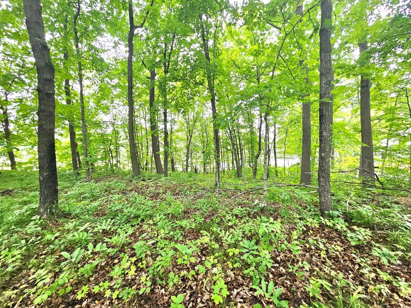 TBD East Grace St, Isle, MN 56342