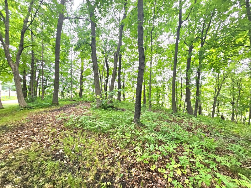TBD East Grace St, Isle, MN 56342