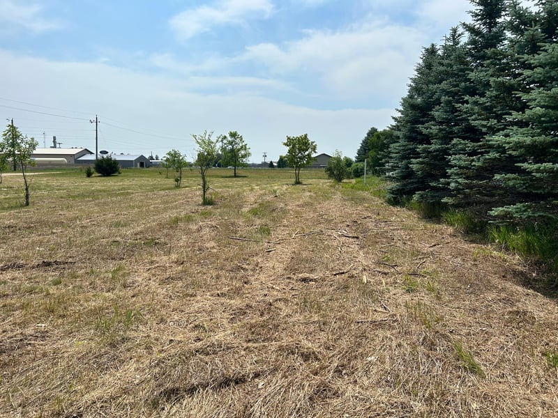 TBD Main Ave S, Park Rapids, MN 56470