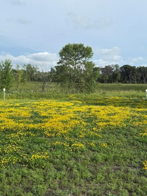 26381 Preserve Dr, Elko New Market, MN 55054