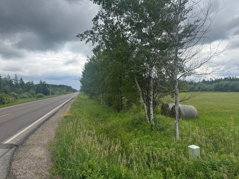 TBD Townline Rd, Forbes, MN 55738