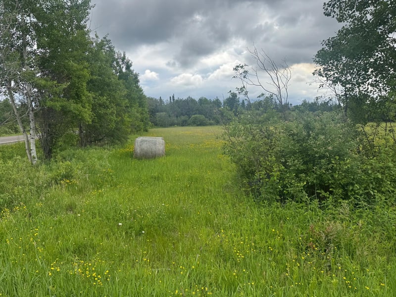 TBD Townline Rd, Forbes, MN 55738