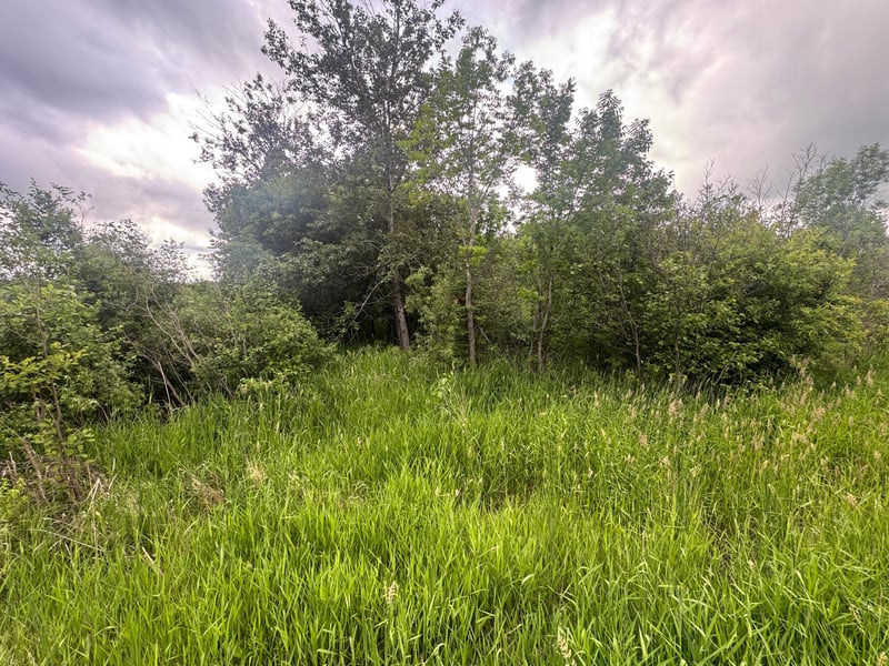 8xxx Townline Rd, Forbes, MN 55738
