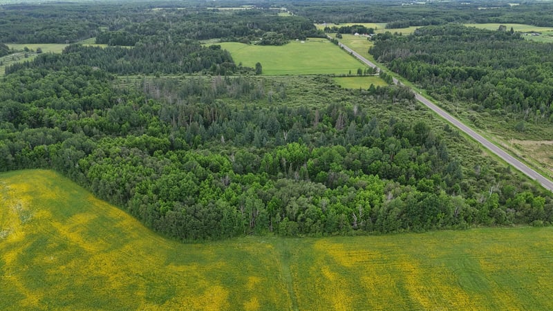 8xxx Townline Rd, Forbes, MN 55738