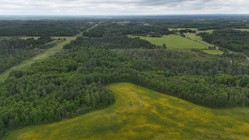 8xxx Townline Rd, Forbes, MN 55738