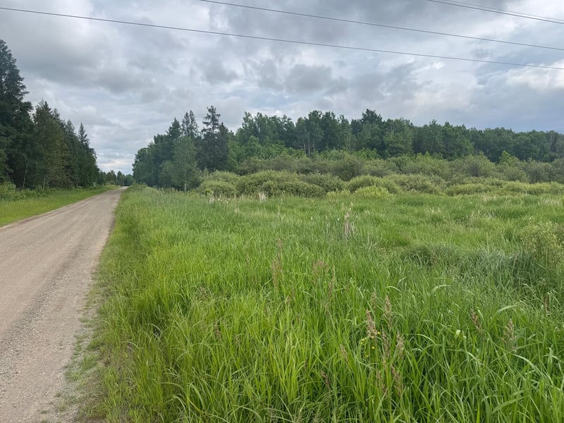 TBD Quaal Rd, Forbes, MN 55738