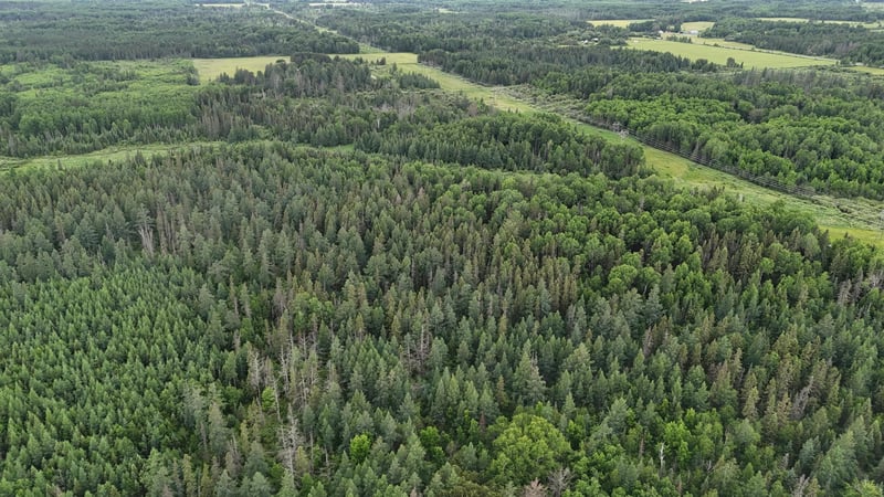 TBD Quaal Rd, Forbes, MN 55738