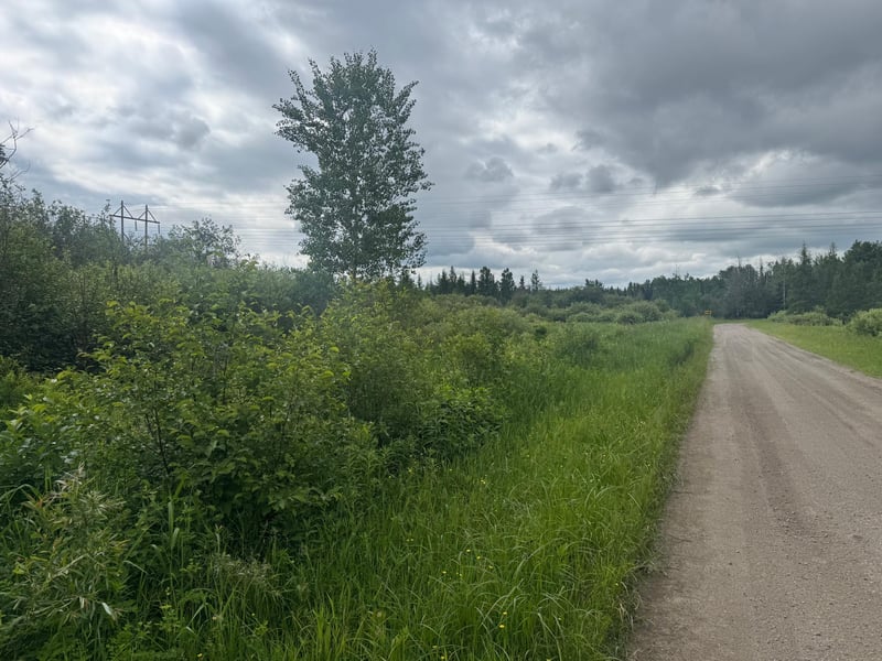 TBD Quaal Rd, Forbes, MN 55738