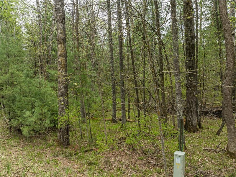 TBD Chokecherry Dr, Nevis, MN 56467