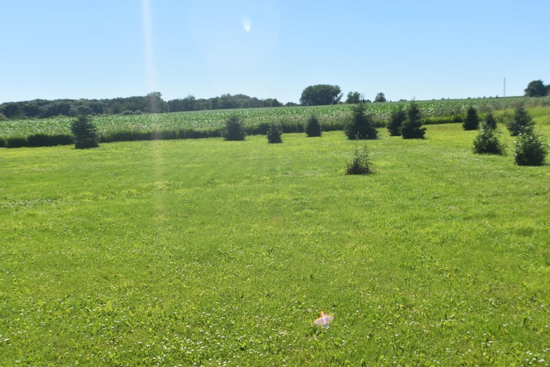 1342 Calvary Rd SE, Osakis, MN 56360