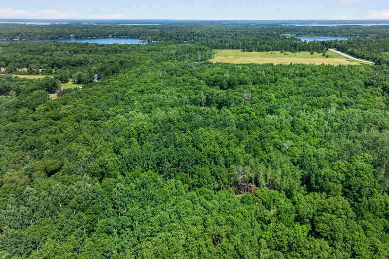 33810 Wildberry Ln, Pequot Lakes, MN 56472