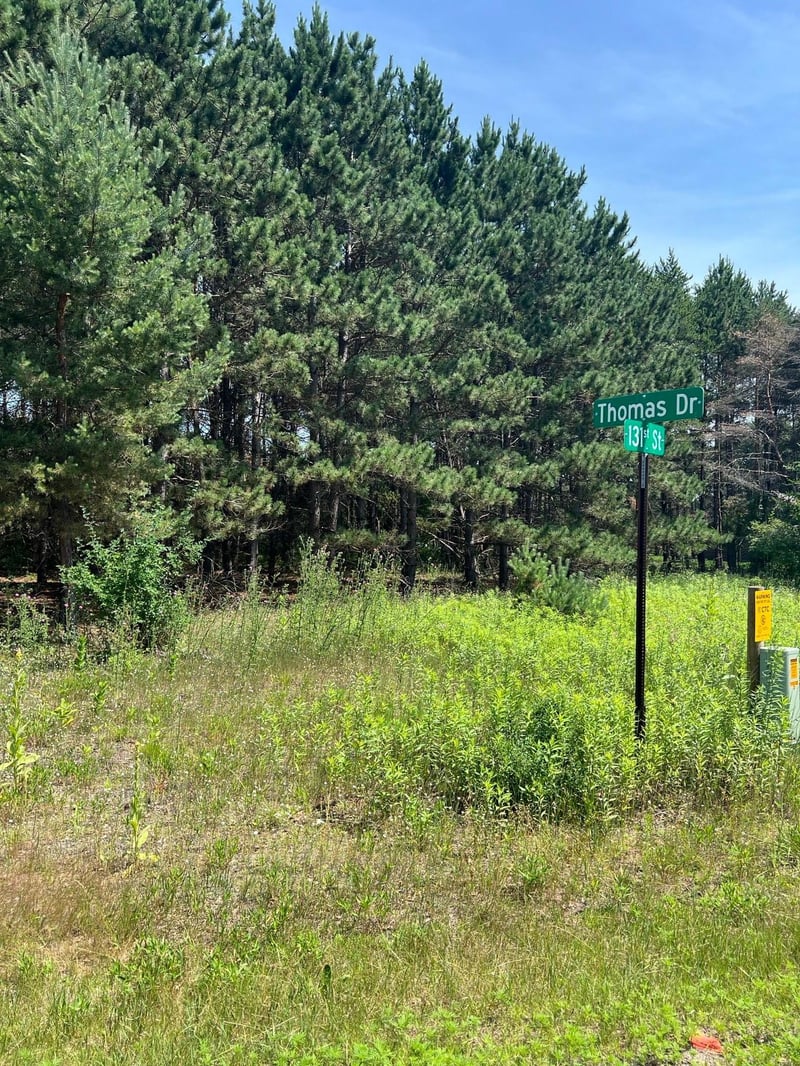 TBD Thomas Dr, Little Falls, MN 56345