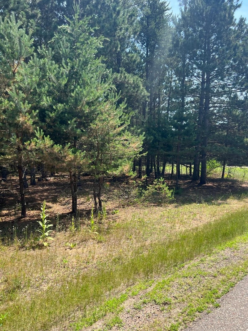 TBD Thomas Dr, Little Falls, MN 56345
