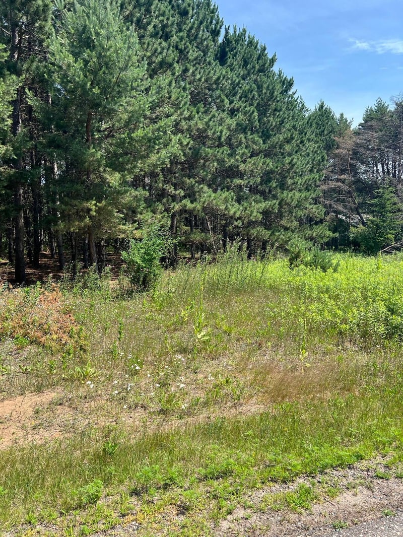 TBD Thomas Dr, Little Falls, MN 56345