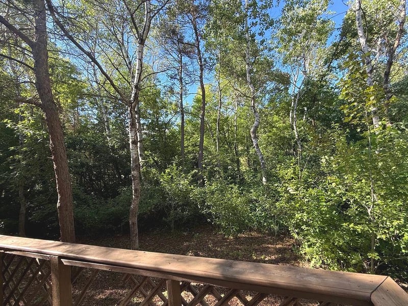 1007 Spruce Ln, Park Rapids, MN 56470