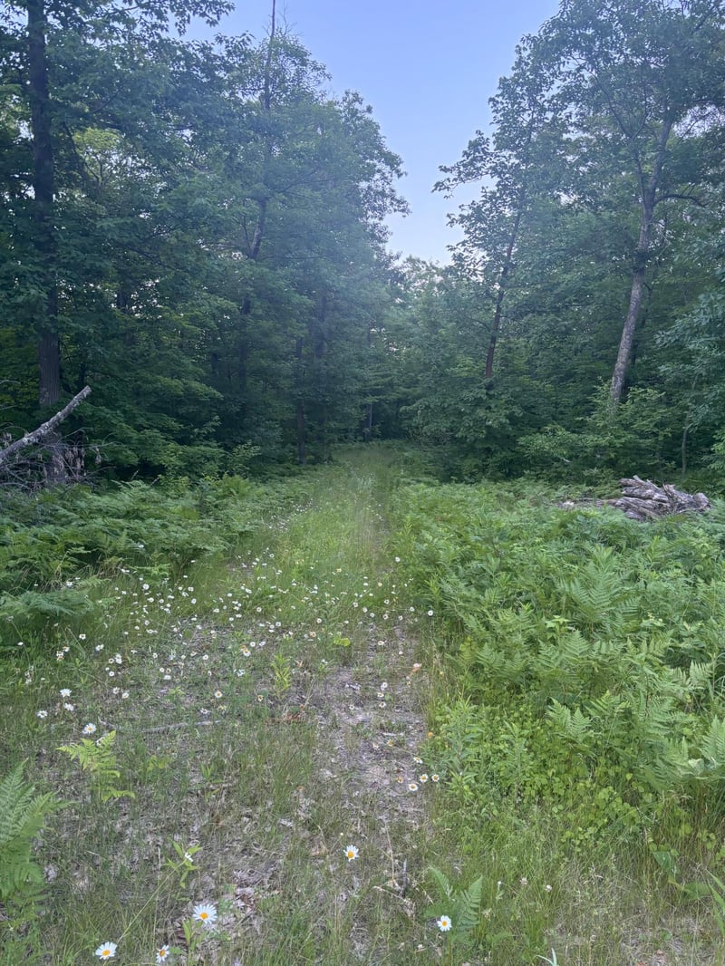 39987 Cass Line Rd, Laporte, MN 56461