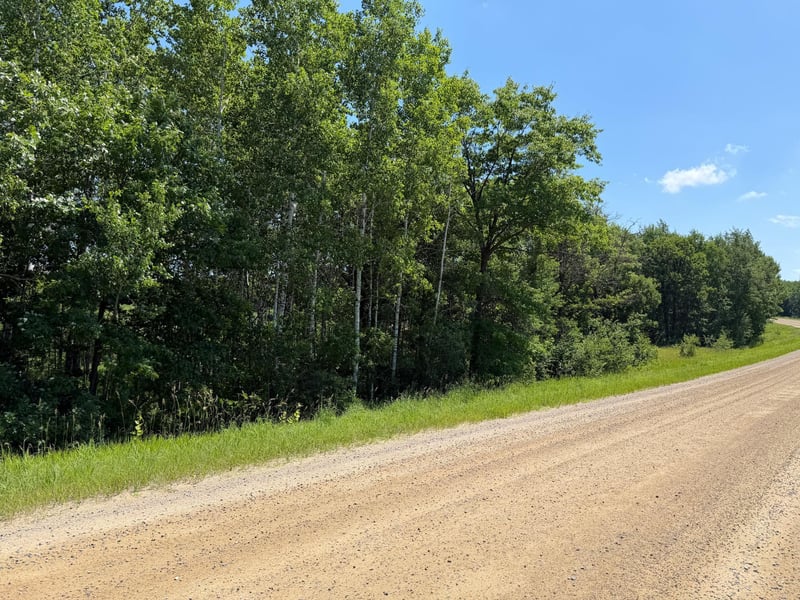 TBD County 95, Laporte, MN 56461