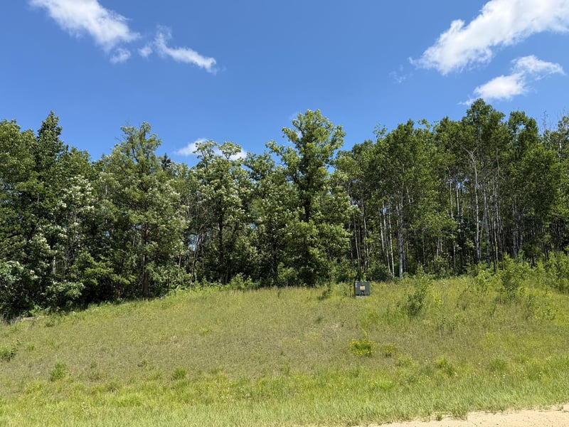 TBD County 95, Laporte, MN 56461